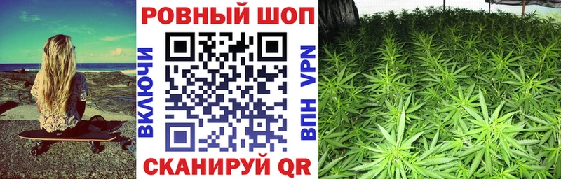 Сколько стоит Ясногорск Амфетамин  СОЛЬ  Бошки Шишки  Бутират  Галлюциногенные грибы  COCAIN  Мефедрон 